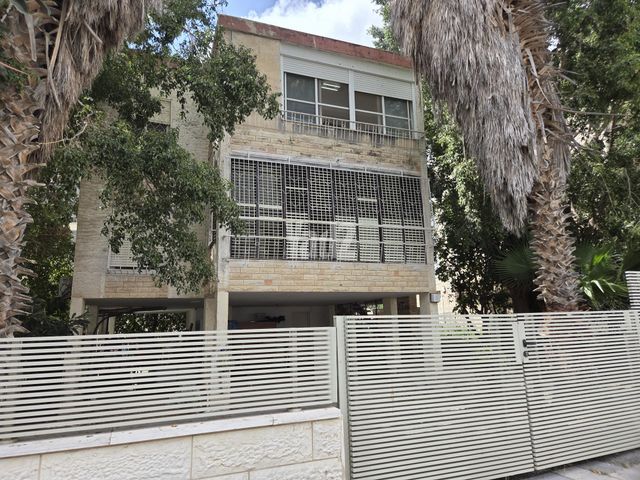 דוד רמז 19