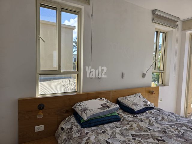 דוד וולפסון 32