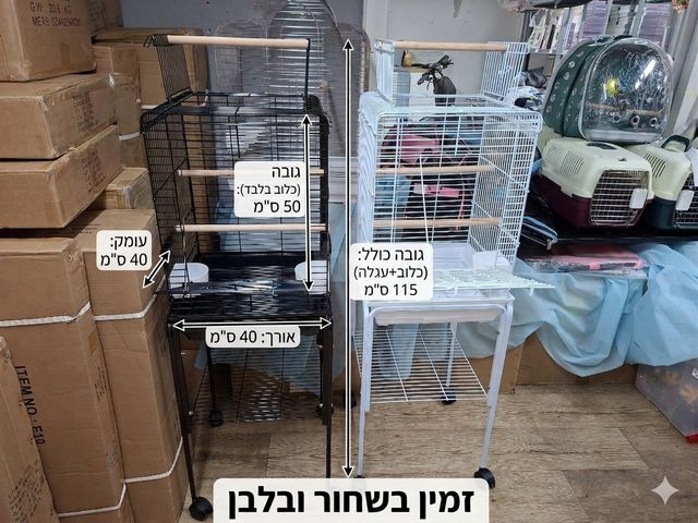 תמונת מודעה - חיות מחמד