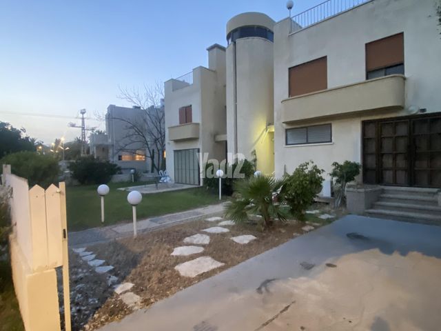 נרקיס 14