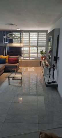 החשמונאים 23