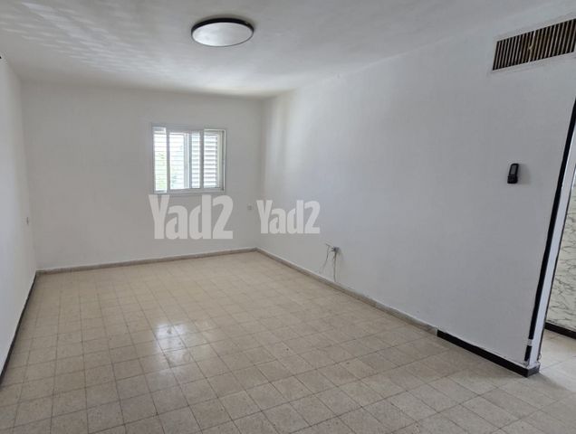 שבטי ישראל 29