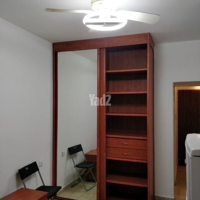 הקוקיה 11