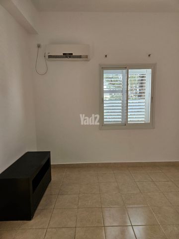 ברזילי 10