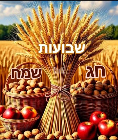 משק חקלאי/ נחלה