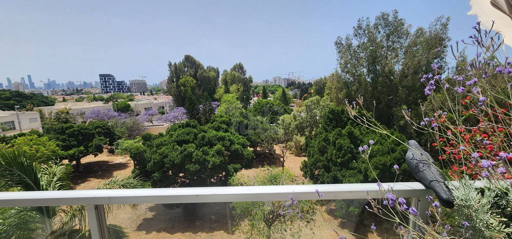 אלכסנדר סשה ארגוב 6
