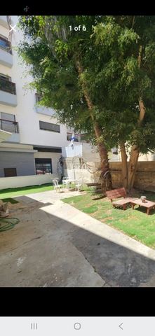 יונה הנביא 31