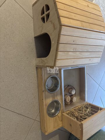 תמונת מודעה - חיות מחמד