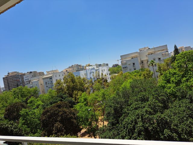 גייגר 18