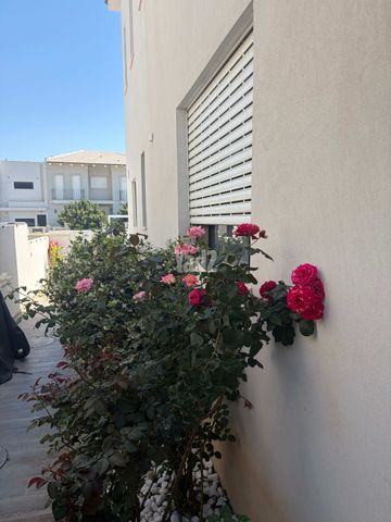 התמר 1