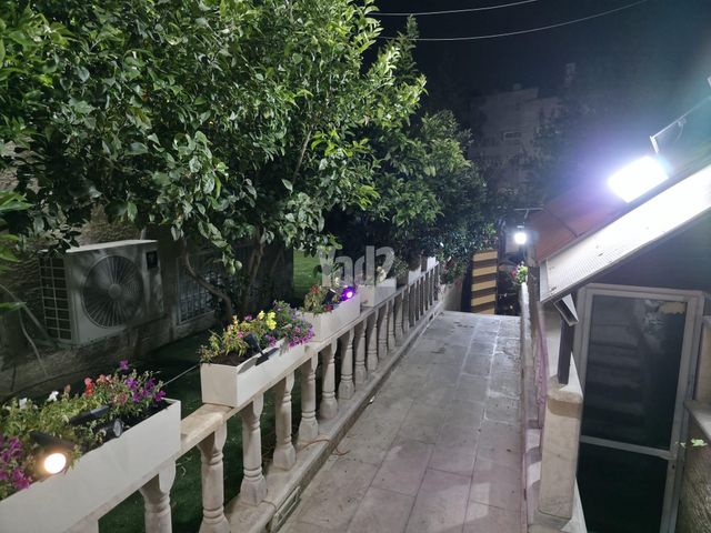 נרקיס 5