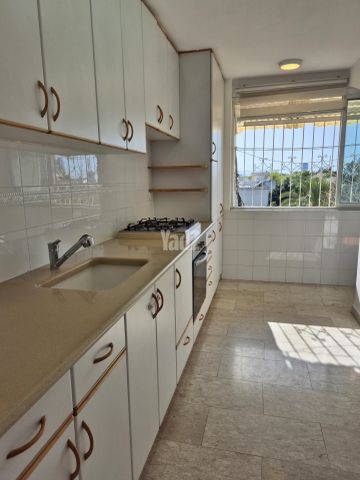 דרך משה דיין 40