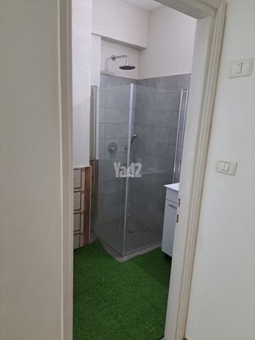 הגפן 1