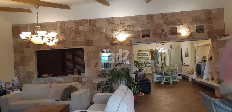 הארגמן 42