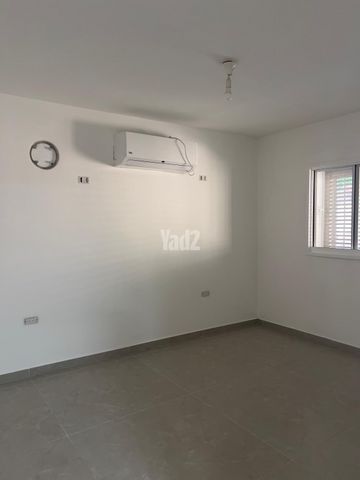 הארזים 1