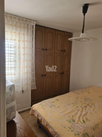 דוד רזיאל 2