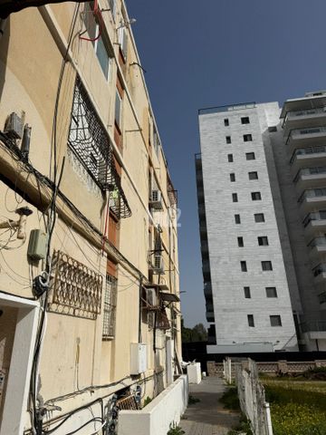 אליעזר מילרוד 