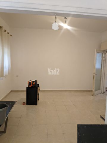 רופין 49