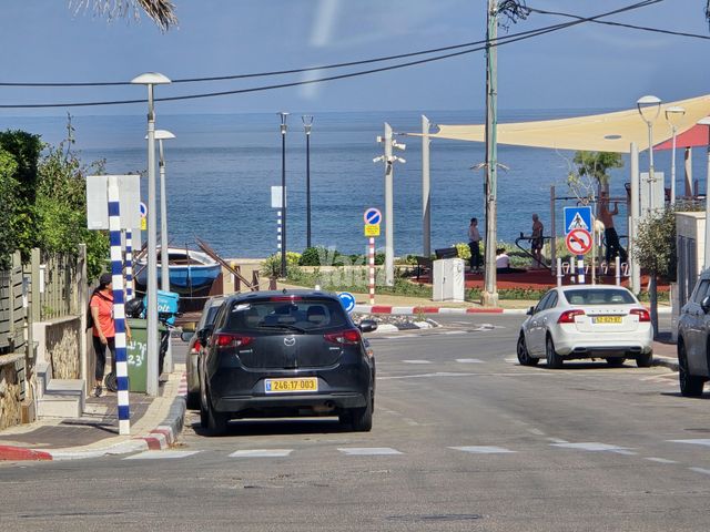 ז'בוטינסקי 4