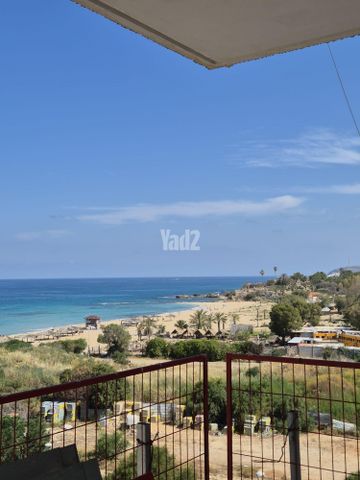 התורן 1