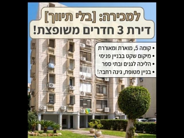 דוד צדוק 26
