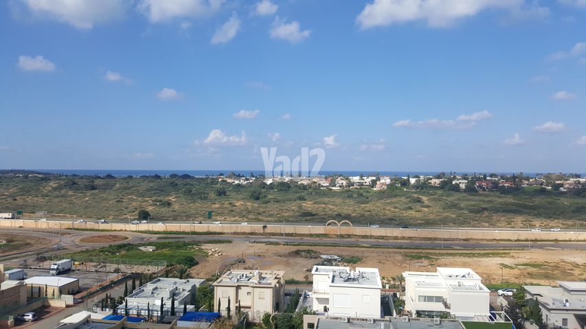 הר סיני 4
