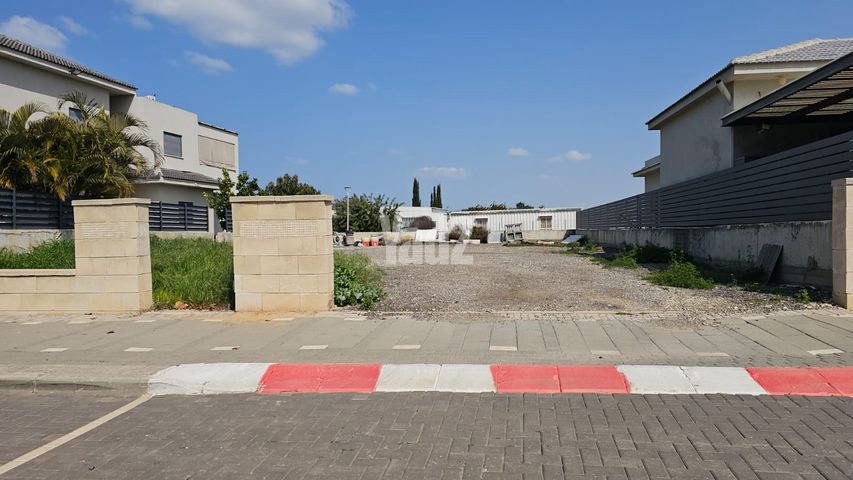 גפן 13