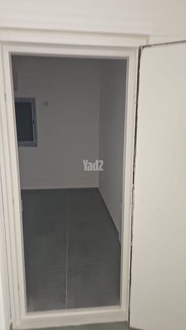 פרופסור יעקב נאמן 1