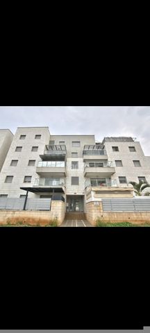השחף 16