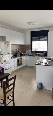 משה לוי 5