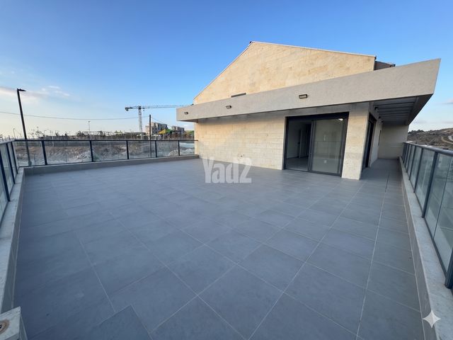 השקמה 31