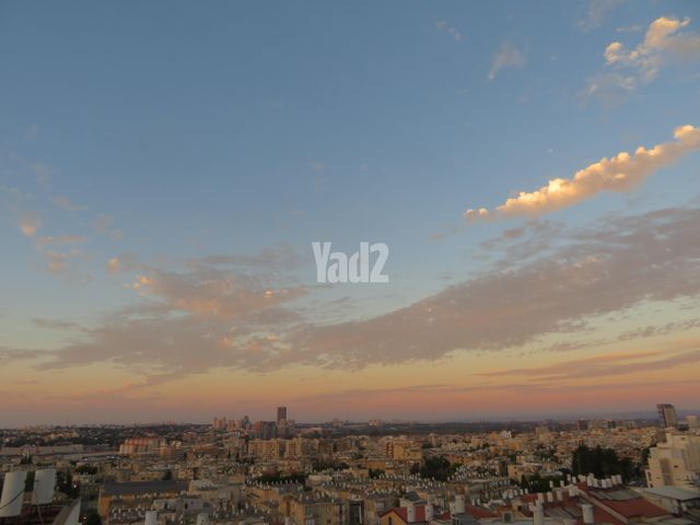 חיים פרל 28