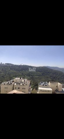 זרח ברנט 13