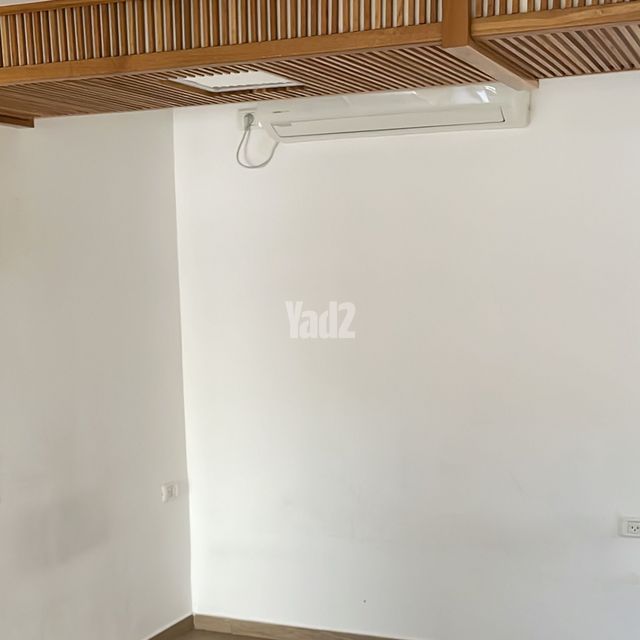 השיזף 1