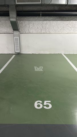 האורגים 11