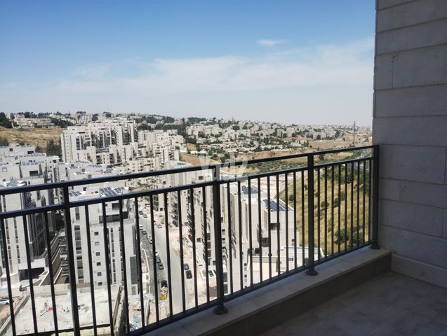 פרופסור יעקב נאמן 1
