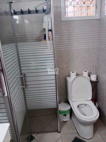 וייצמן 22