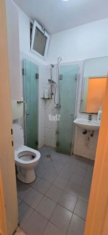 ערמון 7