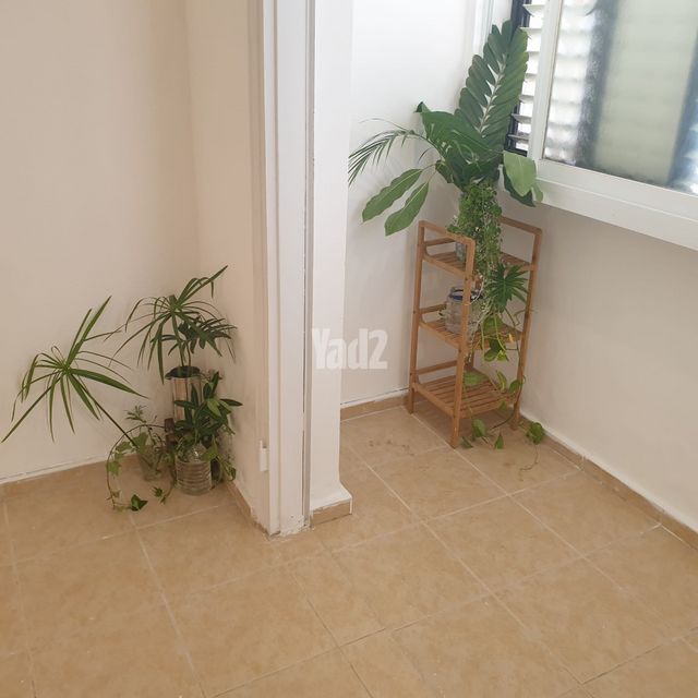 שמעון התרסי 2