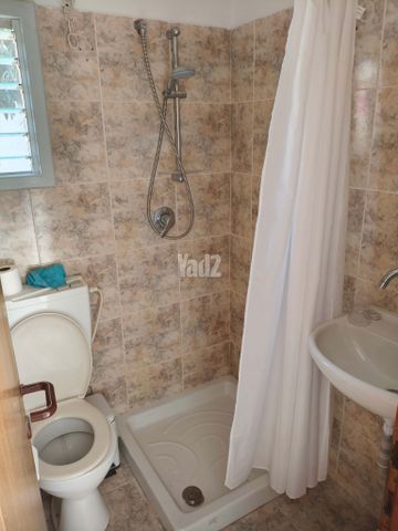 ברנשטיין כהן 20