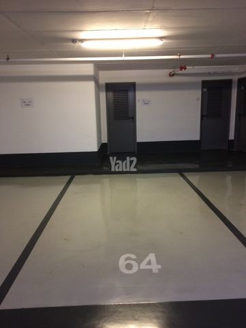 פינס 39