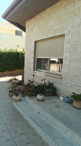 סתוונית 3