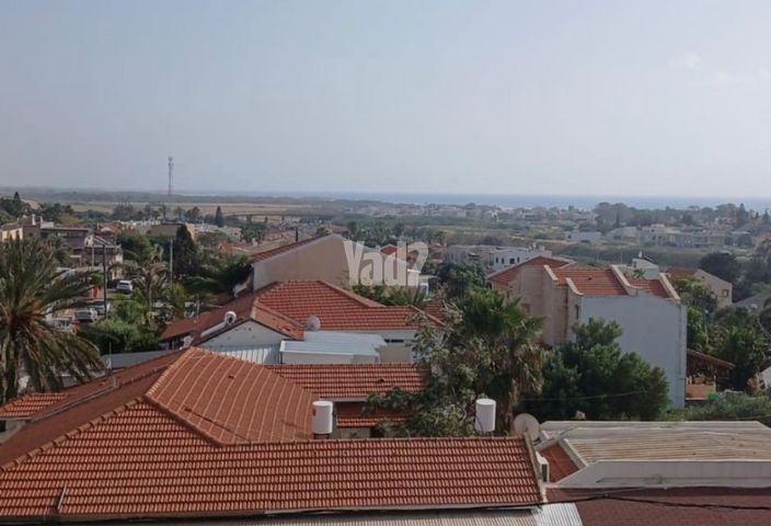החרוב 19