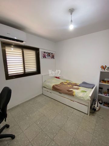 הדקל 82