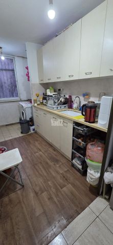שבי ציון 