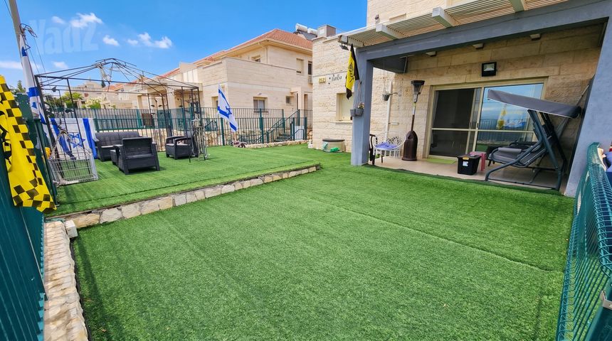 הברוש 79