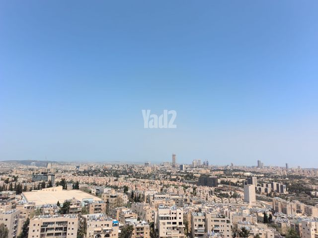 משה זילברג 28