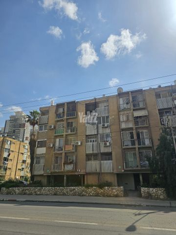 הצבי 