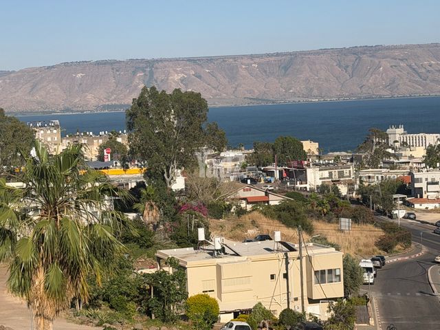 רוטשילד 