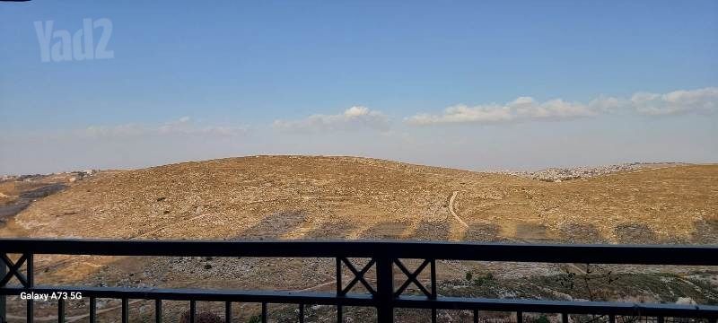 עמנואל זיסמן 